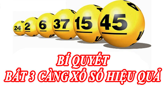 dự đoán 3 càng miền bắc hôm nay